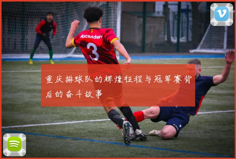 重庆排球队的辉煌征程与冠军赛背后的奋斗故事