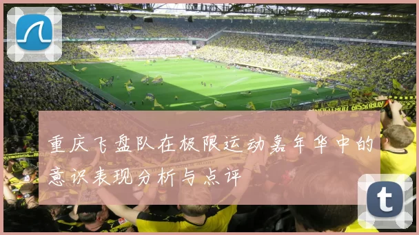 重庆飞盘队在极限运动嘉年华中的意识表现分析与点评