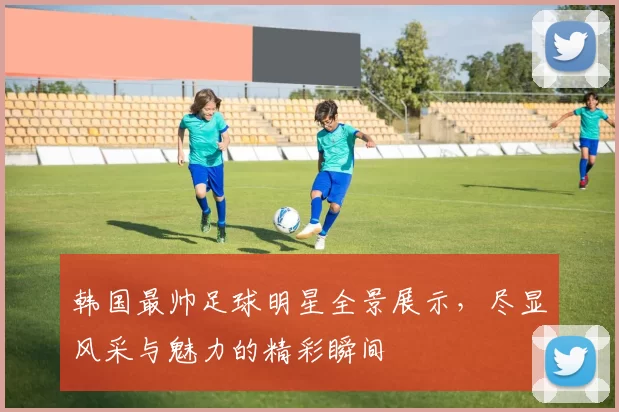 韩国最帅足球明星全景展示，尽显风采与魅力的精彩瞬间