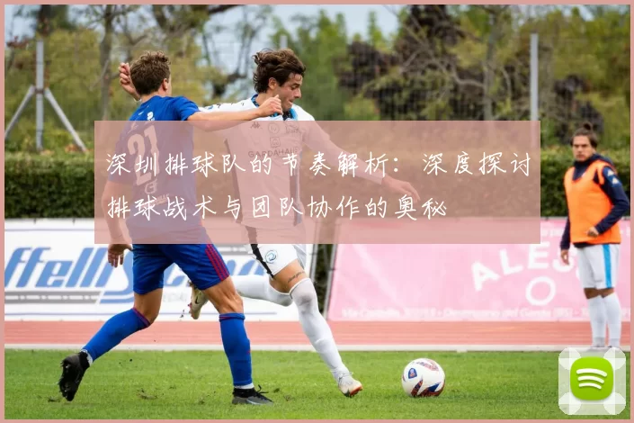 深圳排球队的节奏解析：深度探讨排球战术与团队协作的奥秘