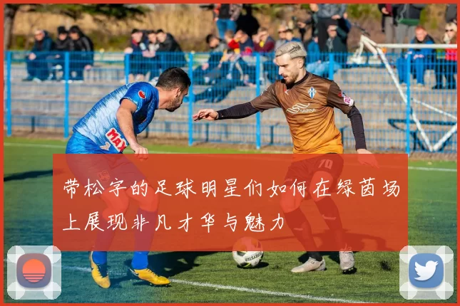 带松字的足球明星们如何在绿茵场上展现非凡才华与魅力