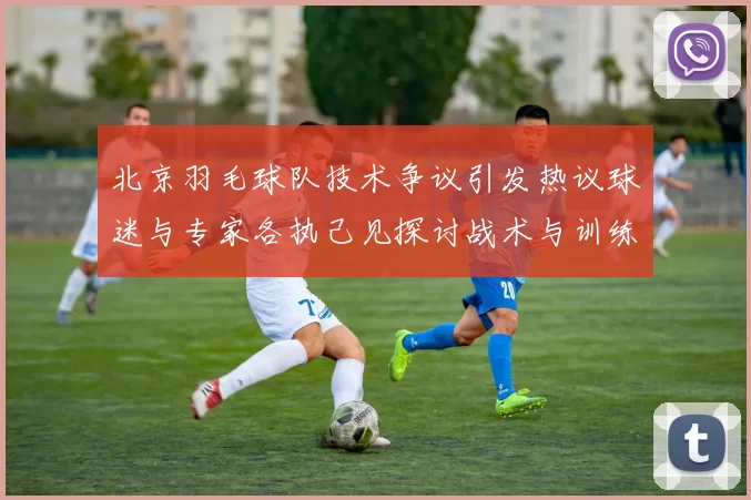 北京羽毛球队技术争议引发热议球迷与专家各执己见探讨战术与训练问题