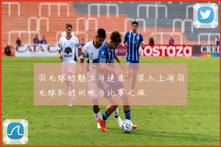 羽毛球的魅力与速度：深入上海羽毛球队的训练与比赛之旅