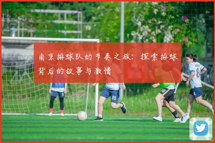 南京排球队的节奏之旅：探索排球背后的故事与激情