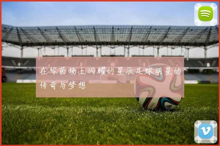 在绿茵场上闪耀的星辰足球明星的传奇与梦想