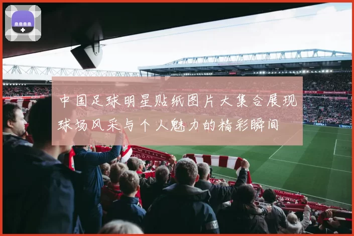中国足球明星贴纸图片大集合展现球场风采与个人魅力的精彩瞬间