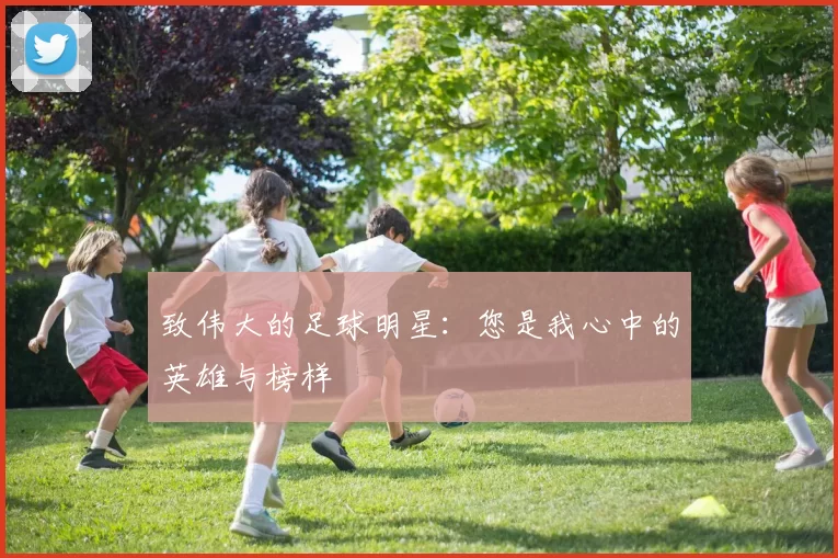 致伟大的足球明星：您是我心中的英雄与榜样