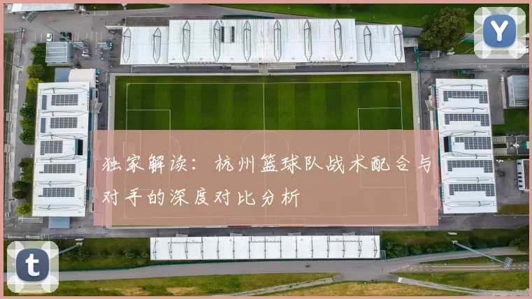 独家解读：杭州篮球队战术配合与对手的深度对比分析