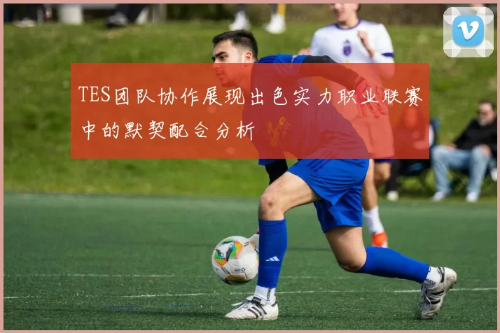 TES团队协作展现出色实力职业联赛中的默契配合分析