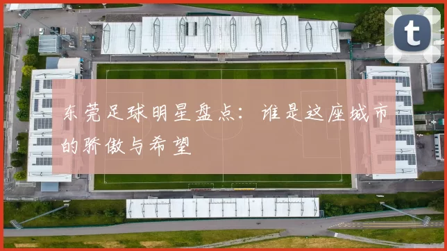 东莞足球明星盘点：谁是这座城市的骄傲与希望