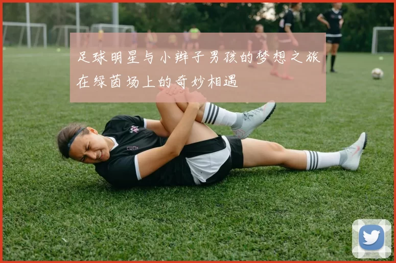 足球明星与小辫子男孩的梦想之旅在绿茵场上的奇妙相遇