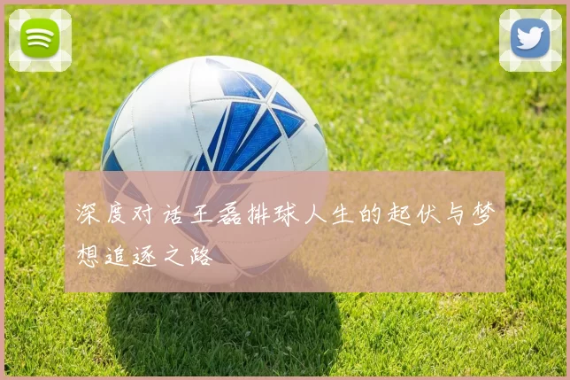 深度对话王磊排球人生的起伏与梦想追逐之路