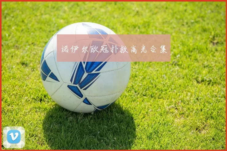 诺伊尔欧冠扑救高光合集