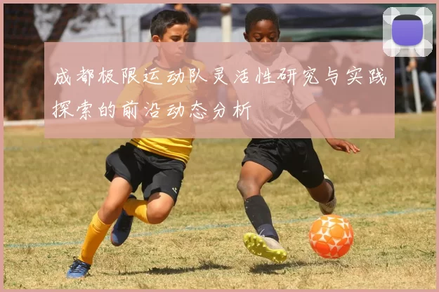 成都极限运动队灵活性研究与实践探索的前沿动态分析