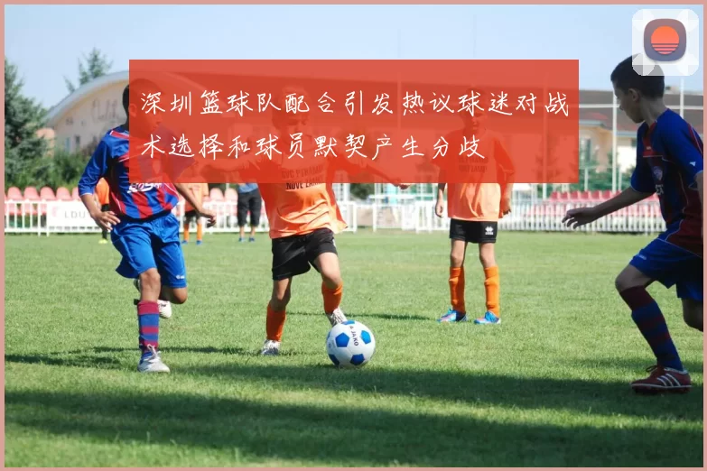 深圳篮球队配合引发热议球迷对战术选择和球员默契产生分歧