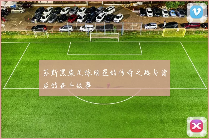 苏斯黑柴足球明星的传奇之路与背后的奋斗故事