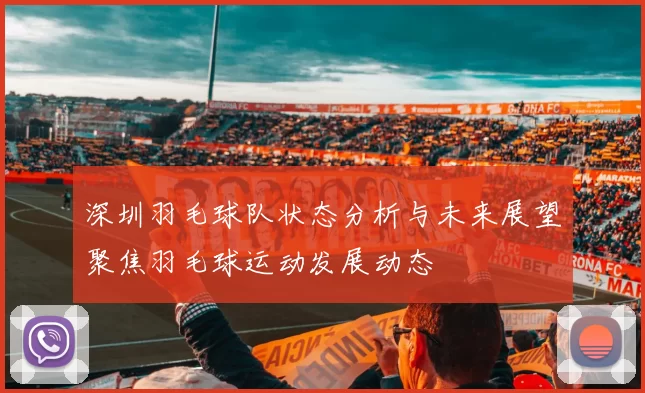 深圳羽毛球队状态分析与未来展望聚焦羽毛球运动发展动态